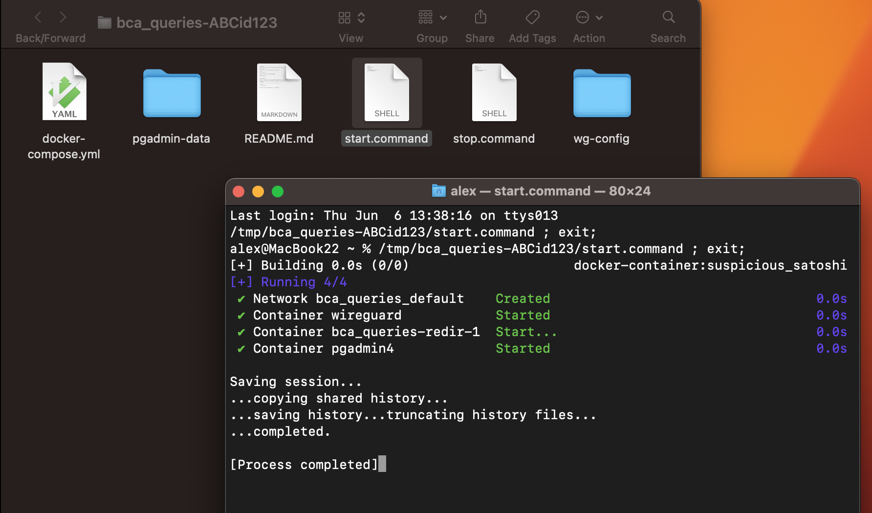 starting services from the extracted zip container in a folder